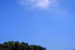 東京近郊に住んでいる方にお勧めの永代供養のお墓