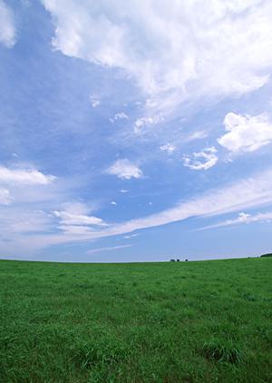 東京浅草の東本願寺にある永代供養の堂内墓