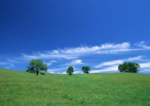 東京都で永代供養を希望ならアクセスも良い浅草浄苑で