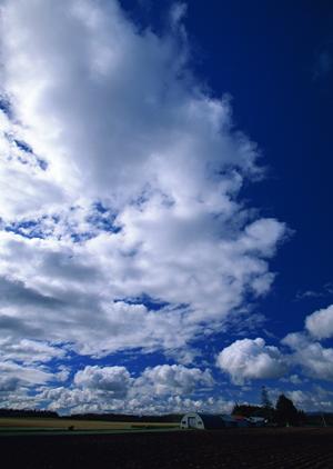 東京浅草浄苑なら永代供養で安心